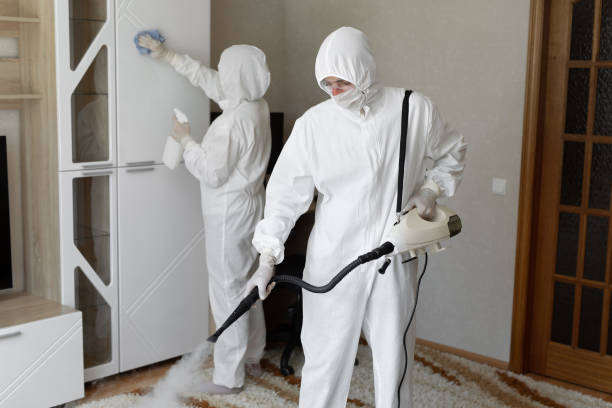 Best Mold Testing  in Eleanor, WV